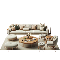 Furniture (Sofas, Beds, Tables)
